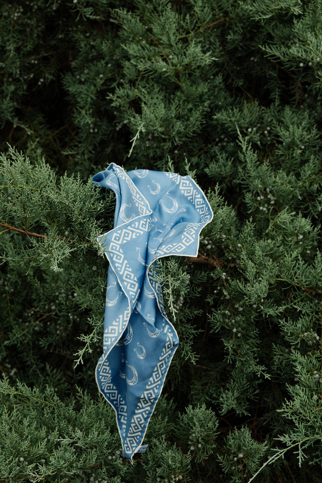 Silk Herradura Pocket Square in Blue