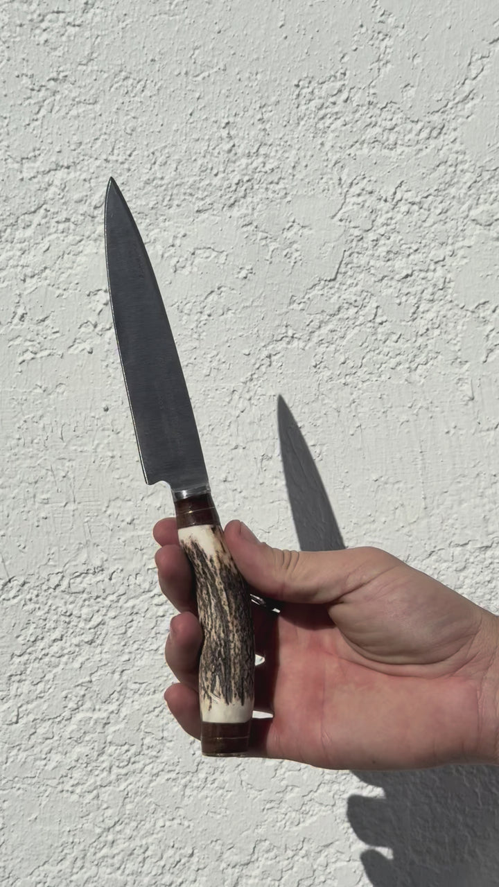 Tandil Knife With Deer Horn Handle