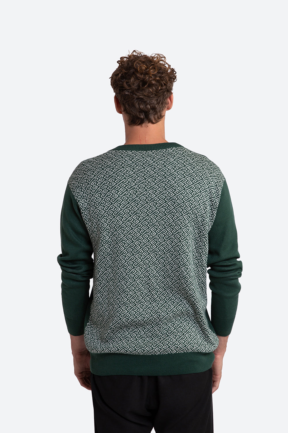 Ivo Cotton Knit Logo Back Sweater in Green and Off-White